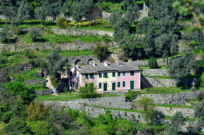 Villa Olivari - apt la Lavanda Camogli